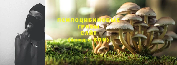 СК Алзамай