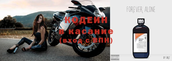 СК Алзамай