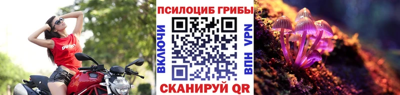Галлюциногенные грибы Psilocybine cubensis  Тула 