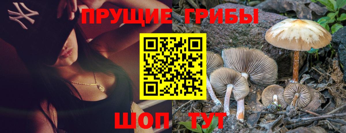 Тула  Галлюциногенные грибы Psilocybine cubensis  Вход с VPN 